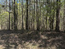 Photo of    Lot 28 Deer Hollow Trail 